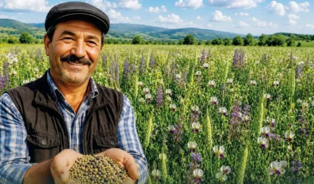 Denizli'de belediyeden yem tohumu desteği: Başvurular başladı!