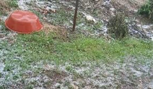Manisa'da dolu yağışı: Tarım arazileri hasar gördü!
