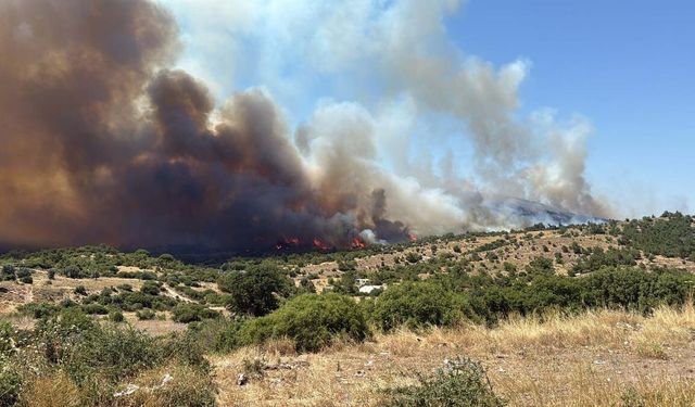 İzmir'de makilik alanda korkutan yangın: Çok sayıda ekip sevk edildi!