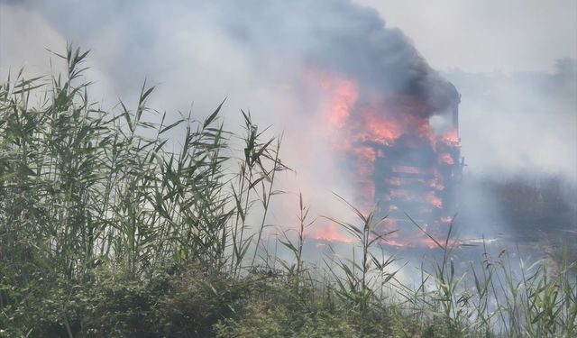 Aydın'da korkutan yangın: Tarım arazisine sıçradı!