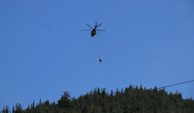 Manisa'da orman yangını: Havadan ve karadan müdahale edildi!