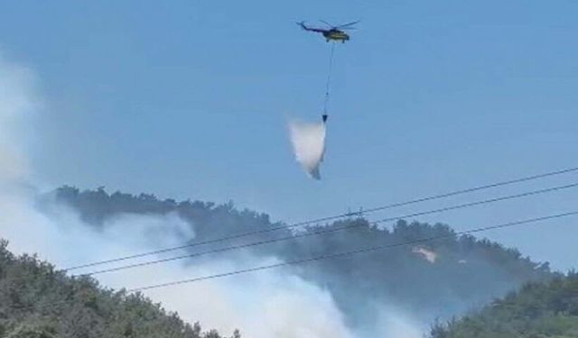 Manisa Soma'da orman yangını: Havadan ve karadan müdahale başladı!