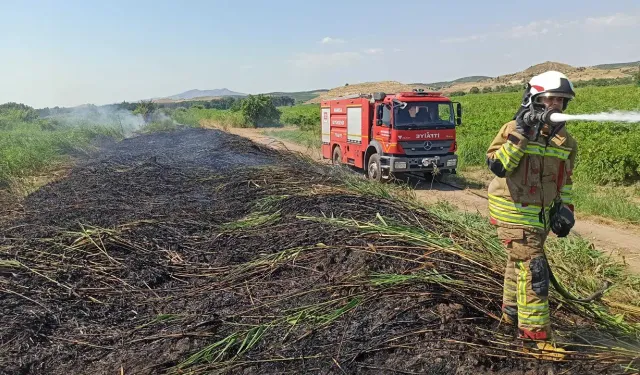 Manisa'da 24 saatte 50 yangın: Ekipler müdahale etti!