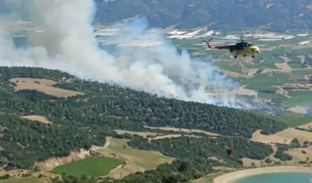Manisa'da orman yangını: Havadan ve karadan müdahale sürüyor!