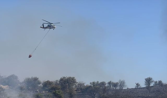 Bodrum'da orman yangını: Çıkış nedeniyle ilgili dikkat çeken iddia!