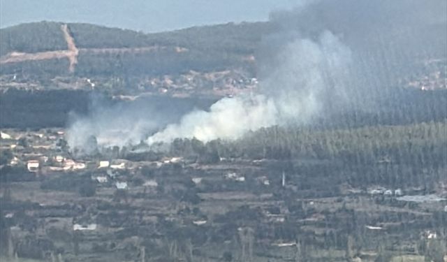 Muğla’da orman yangını: Havadan ve karadan müdahale ediliyor!