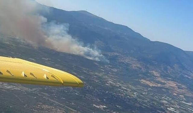 İzmir'de makilik alanda korkutan yangın: Çok sayıda ekip müdahale ediyor!