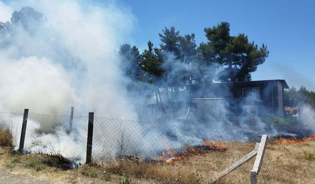 İzmir'de Bornova ve Buca'daki orman yangınlarında 2 şüpheli gözaltında!