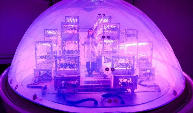 Mars tarımına yönelik bio-kapsüllerle geleceğin serasını ürettiler