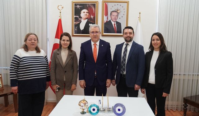Zeytinyağının bir faydası daha... Omurilik yaralanmalarında kulanılacak