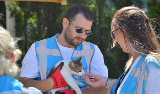 Seferihisar’da Sokak Hayvanları Sahipsiz Değil