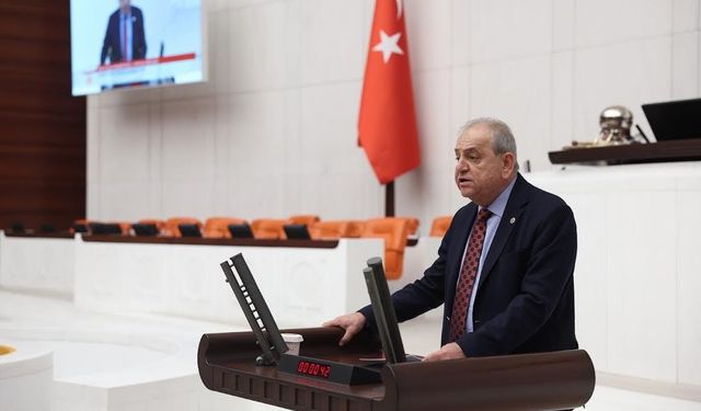 Nalbantoğlu: “Cumartesi Annelerine ve Gezi Tutuklularına selam olsun, Gezi̇ onurumuzdur.” 