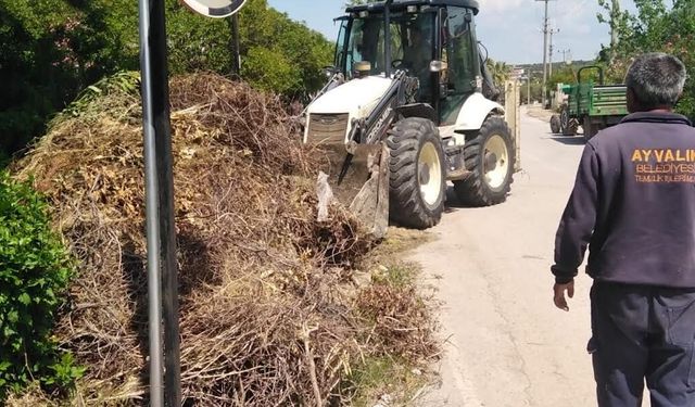 Ayvalık’ta Temizlik Devam Ediyor 