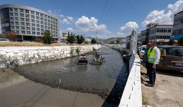 Kokuya Karşı Mücadelenin Etkileri Bu Yaz Görülecek 