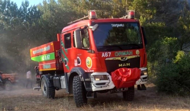 Bir orman yangını haberi de Kütahya'dan geldi: Ekipler sevk edildi!