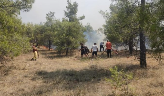 Denizli'de orman yangını çıktı: Havadan ve karadan müdahale ediliyor!