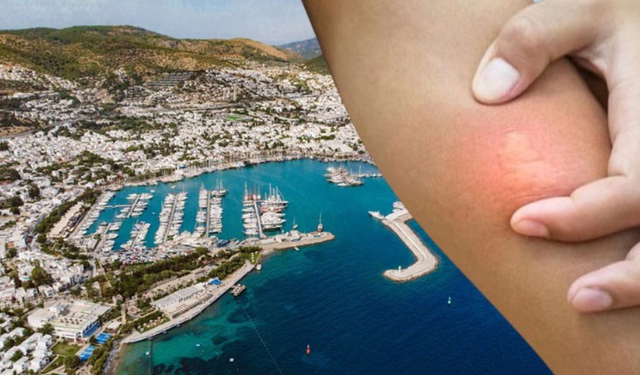 Bodrum'da virüs paniği: İstanbul'da teşhis konulan kişi Bodrum'a tatile geldi!