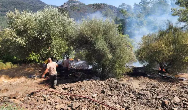 Muğla Marmaris'te orman yangını: Çok sayıda ekip sevk edildi!