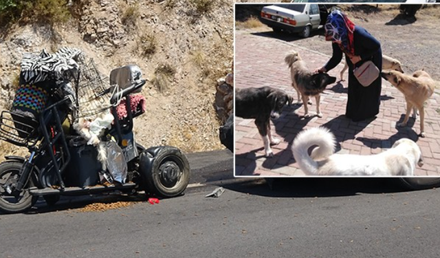 Kütahya'da kahreden kaza: Sokak köpeklerini beslemek için mama taşırken minibüs çarptı!