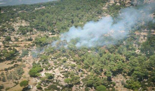 Muğla'da orman yangını başladı: Havadan ve karadan müdahale ediliyor!