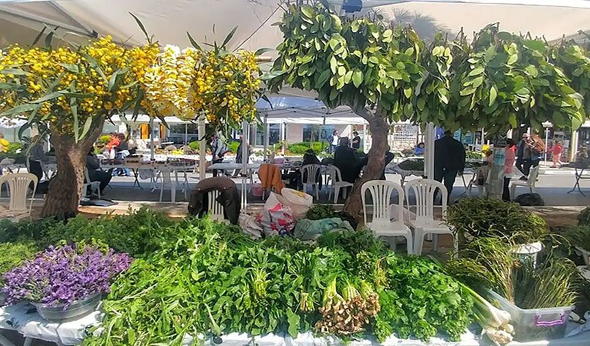 Ege'de Dev Buluşma: 15. Alaçatı Ot Festivali Dünya Şeflerini Ağırlıyor!