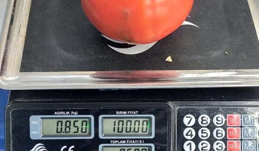 Aydın'da pazarda 850 gramlık dev domates: Büyük ilgi gördü!