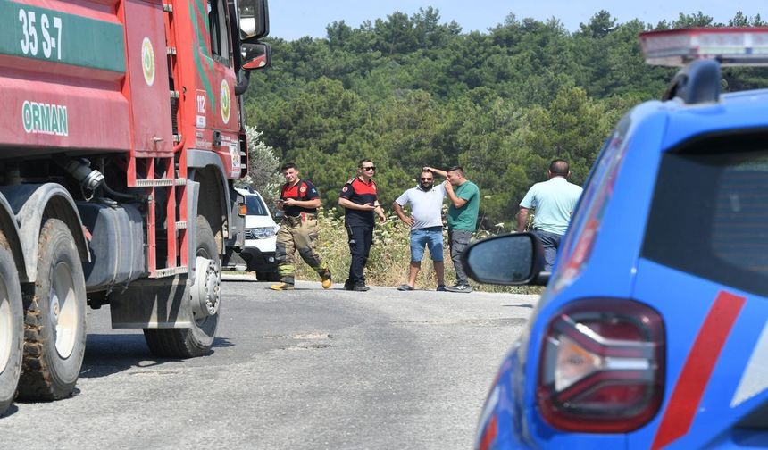 İzmir Urla'da orman yangını alarmı: Havadan ve karadan müdahale edildi!