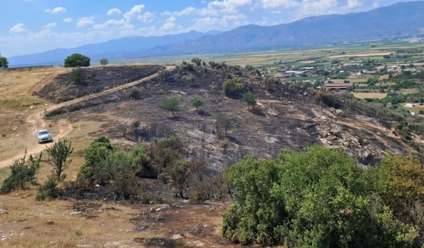 Aydın'da korkutan yangın: Ekipler sevk edildi!