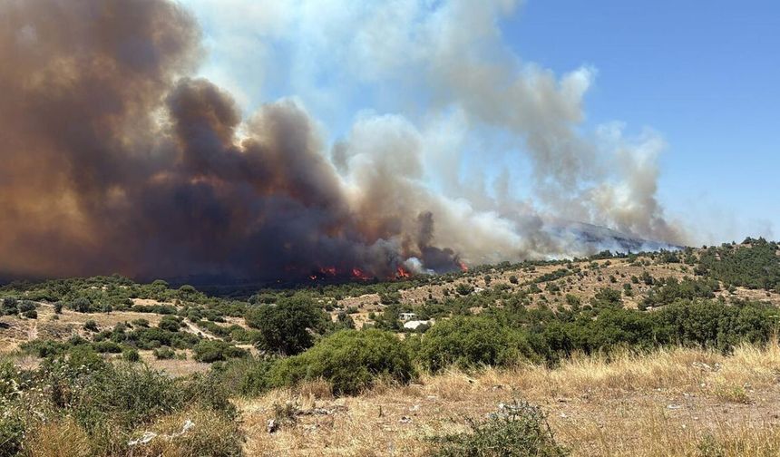 İzmir'de makilik alanda korkutan yangın: Çok sayıda ekip sevk edildi!