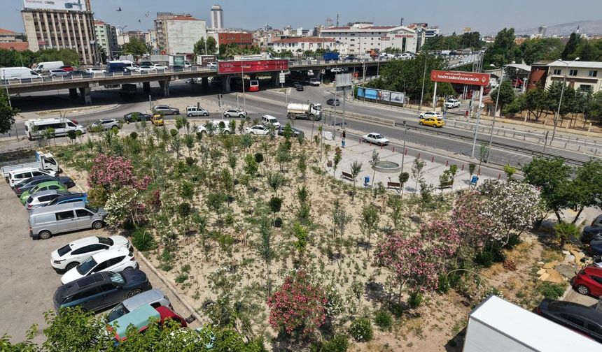 İzmir'de Konak Kemer'de atıl alan ormana dönüştürüldü!