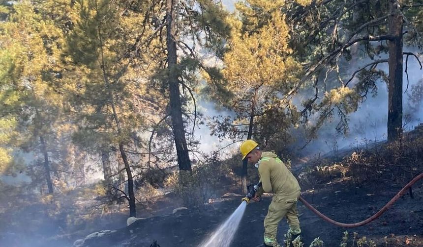 Aydın'da orman yangını: Havadan ve karadan müdahale edildi!