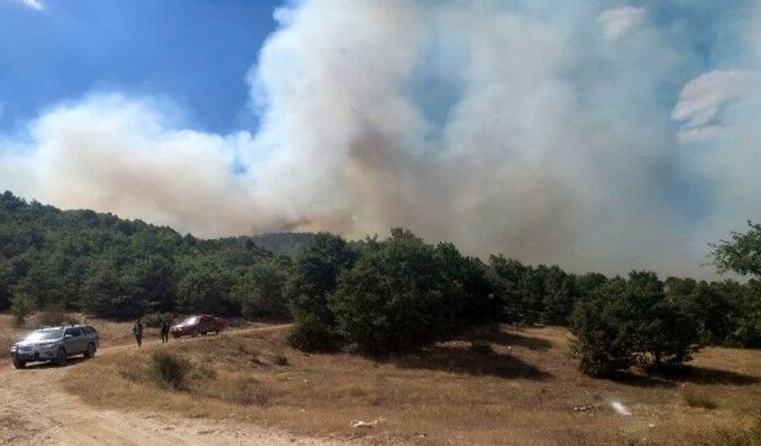 Afyonkarahisar'da korkutan orman yangını!
