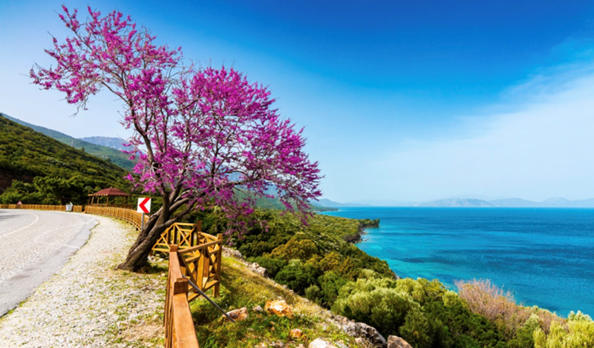 Kuşadası'na Ne Zaman Gidilmeli?