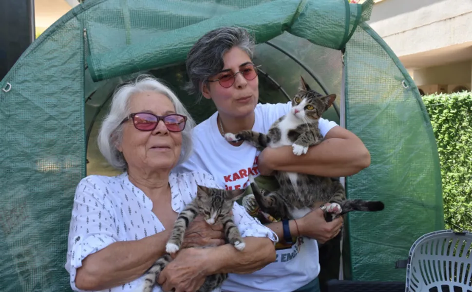 İzmir'de şaşkına çeviren olay: Erkek kedi doğum yaptı!