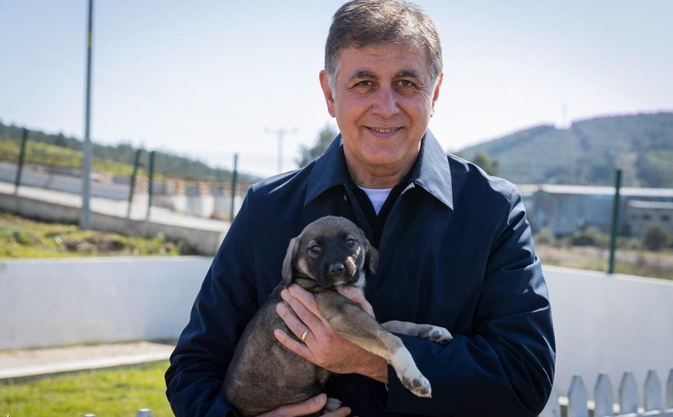 İzmir Dikili'ye 2 bin 500 kapasiteli sahipsiz hayvan yaşam alanı kuruluyor!