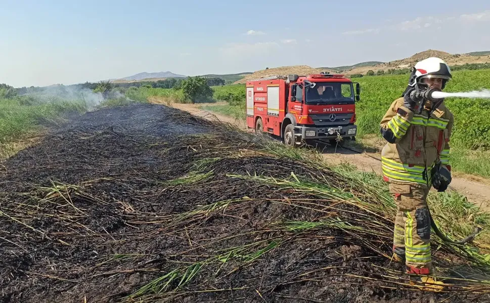Manisa'da 24 saatte 50 yangın: Ekipler müdahale etti!