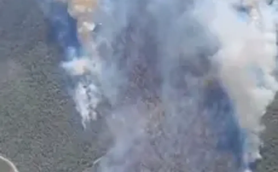 Manisa Akhisar'da orman yangını başladı: Çok sayıda ekip müdahale ediyor!