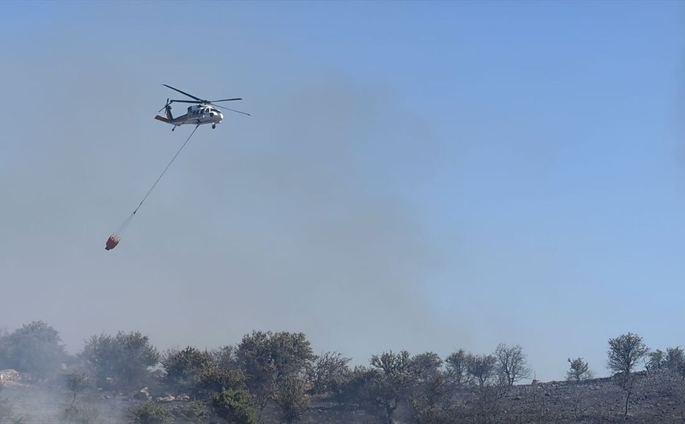 Bodrum'da orman yangını: Çıkış nedeniyle ilgili dikkat çeken iddia!
