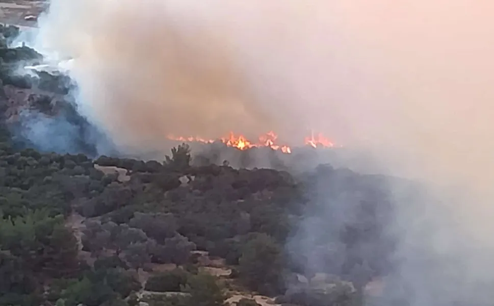 İzmir Bornova’da Homeros Vadisi’nde orman yangını!