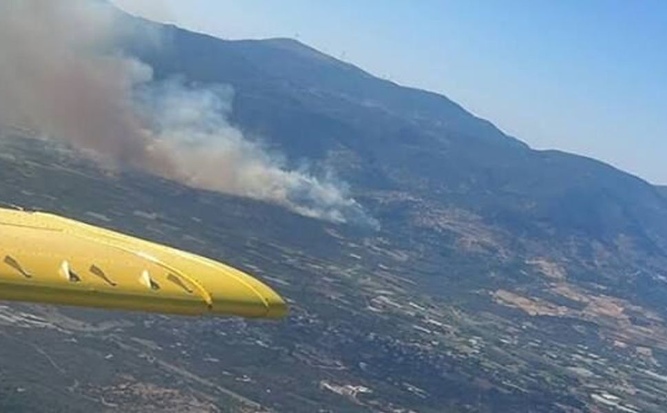 İzmir'de makilik alanda korkutan yangın: Çok sayıda ekip müdahale ediyor!