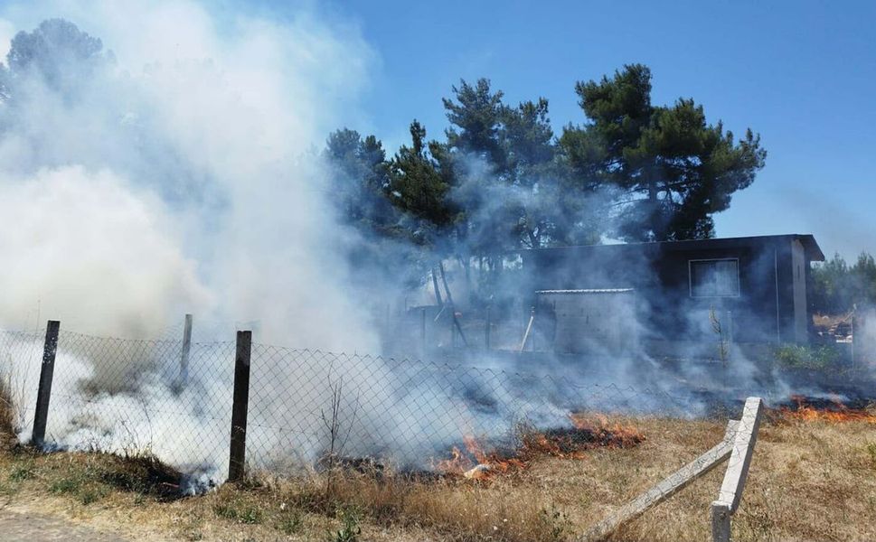 İzmir'de Bornova ve Buca'daki orman yangınlarında 2 şüpheli gözaltında!