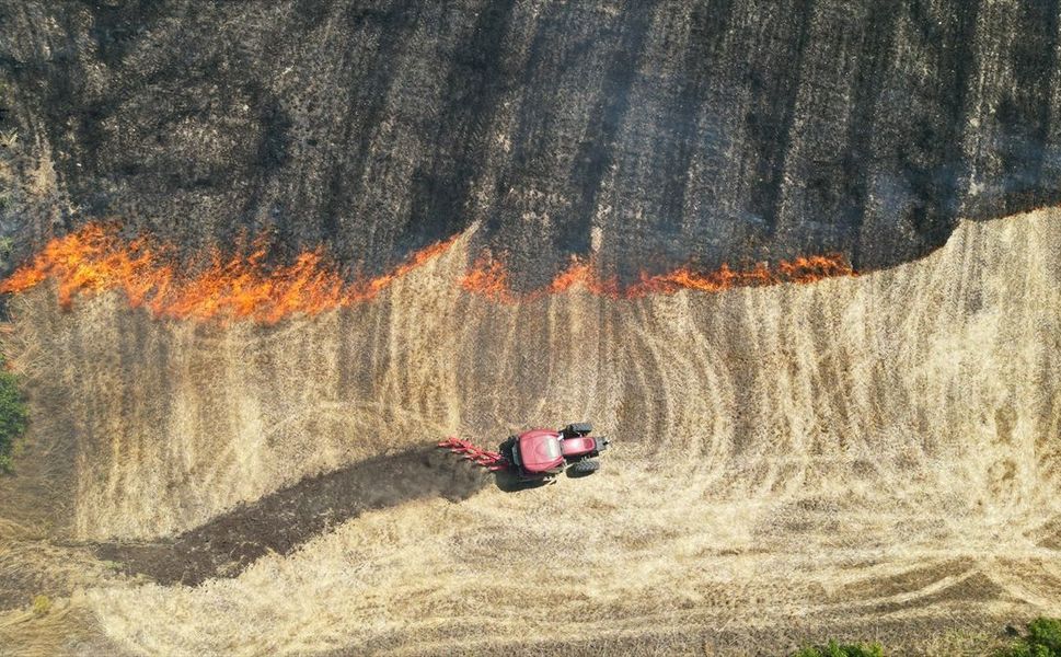 Manisa'da 2 ayrı alanda yangın: 60 dönüm küle döndü!