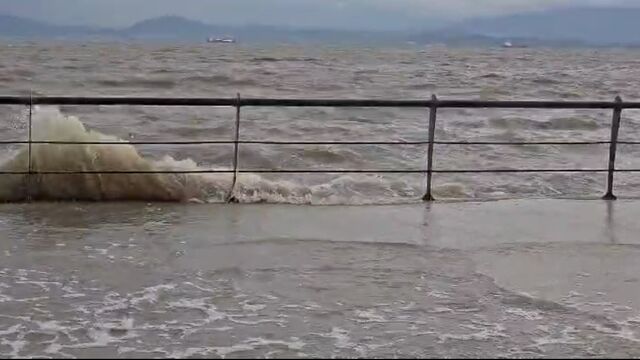 İzmir Genelinde